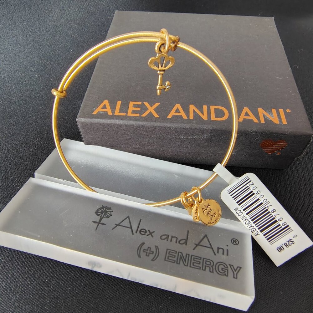 Alex and Ani Skeleton Key   821